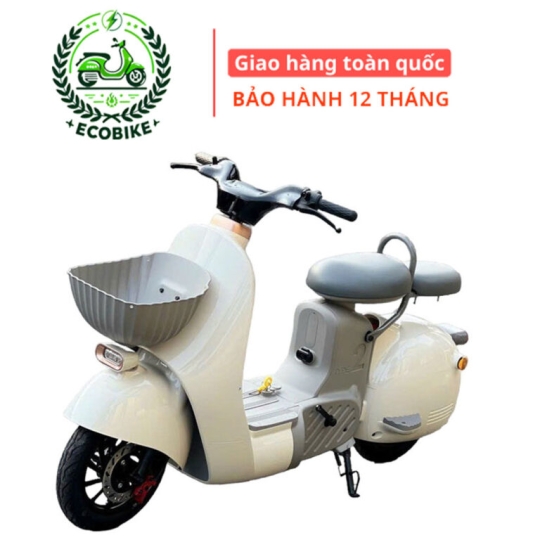 Xe máy điện Dreaform TYPE 2 