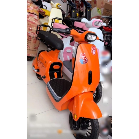Xe đạp điện K1
