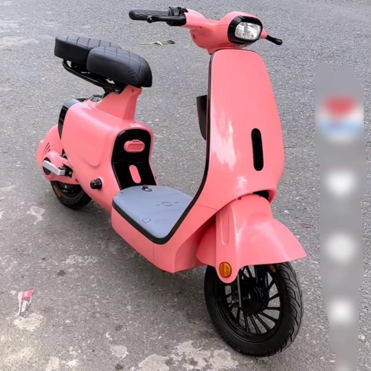 Xe đạp điện K1