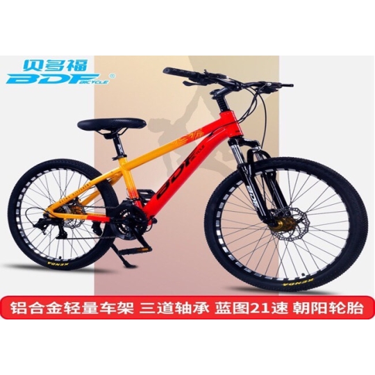 Xe đạp trẻ em BDF 