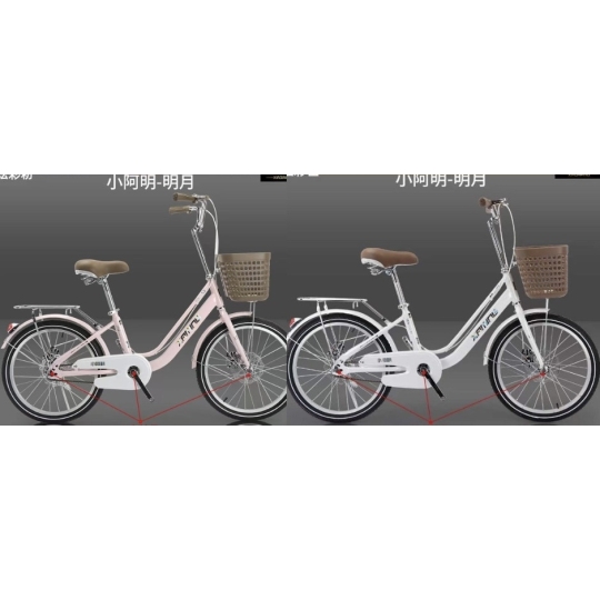 Xe đạp nữ Xaming 