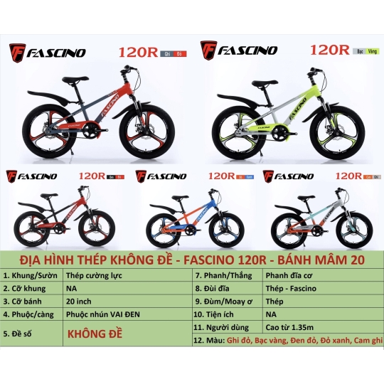 Xe đạp trẻ em Fascino
