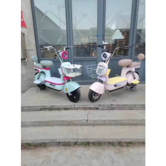 Xe đạp điện V3