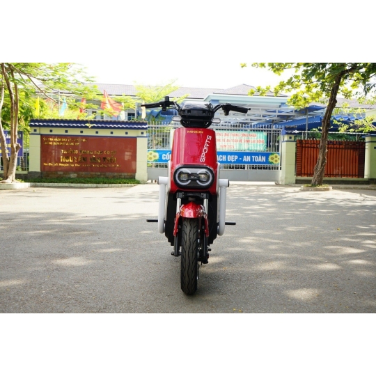 Xe điện Minion