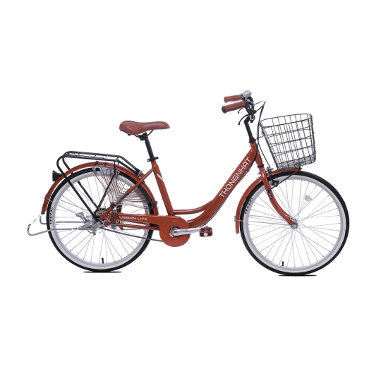 Xe đạp phổ thông LD 24_01_2023 (cafe/nâu)