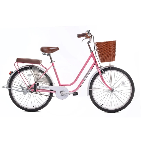 Xe đạp phổ thông LD 24-02 (hồng)