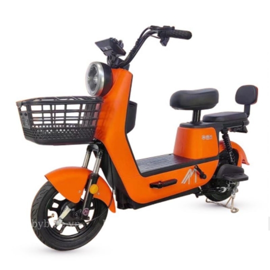 Xe đạp điện MIMA cam