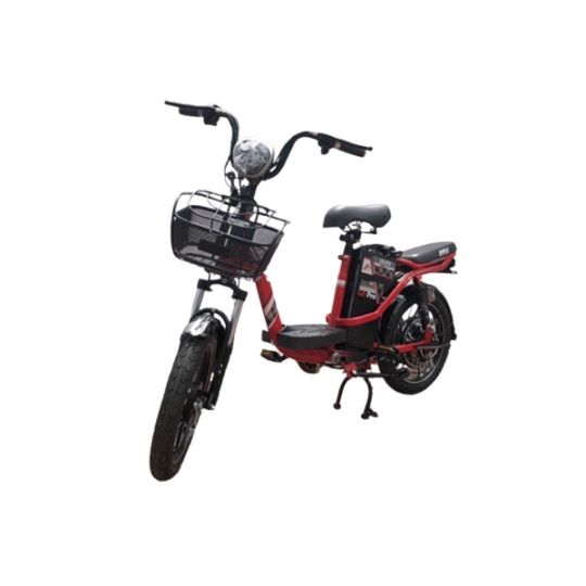Xe đạp điện Nike Bike Go Pro